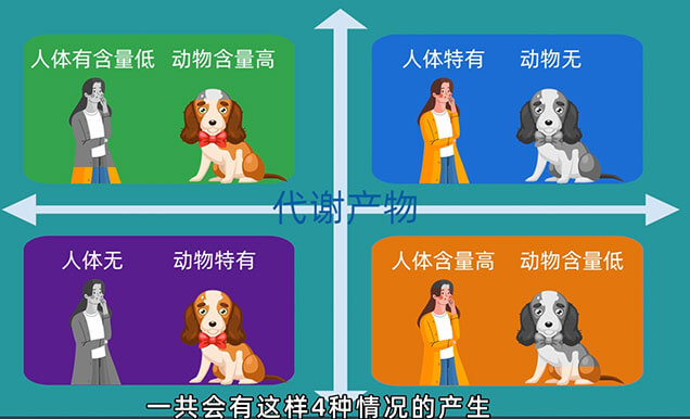 在PK-TK研究中，什么情况下需要做代谢产物监测以及代谢产物安全性试验（MIST）.jpg
